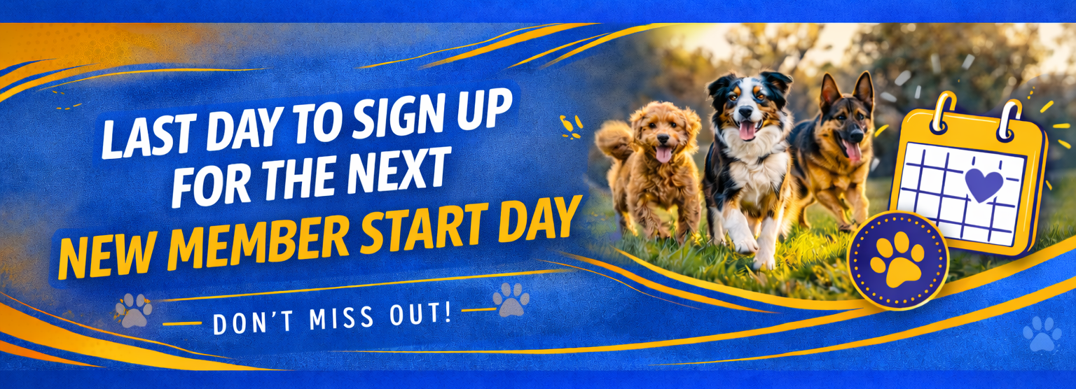 Final Joining Day for May New Starter Training